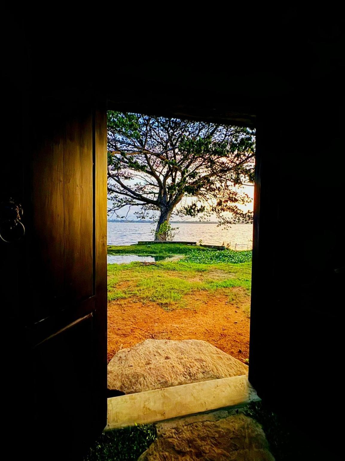 Art Yala Boutique Resort تيساماهاراما المظهر الخارجي الصورة