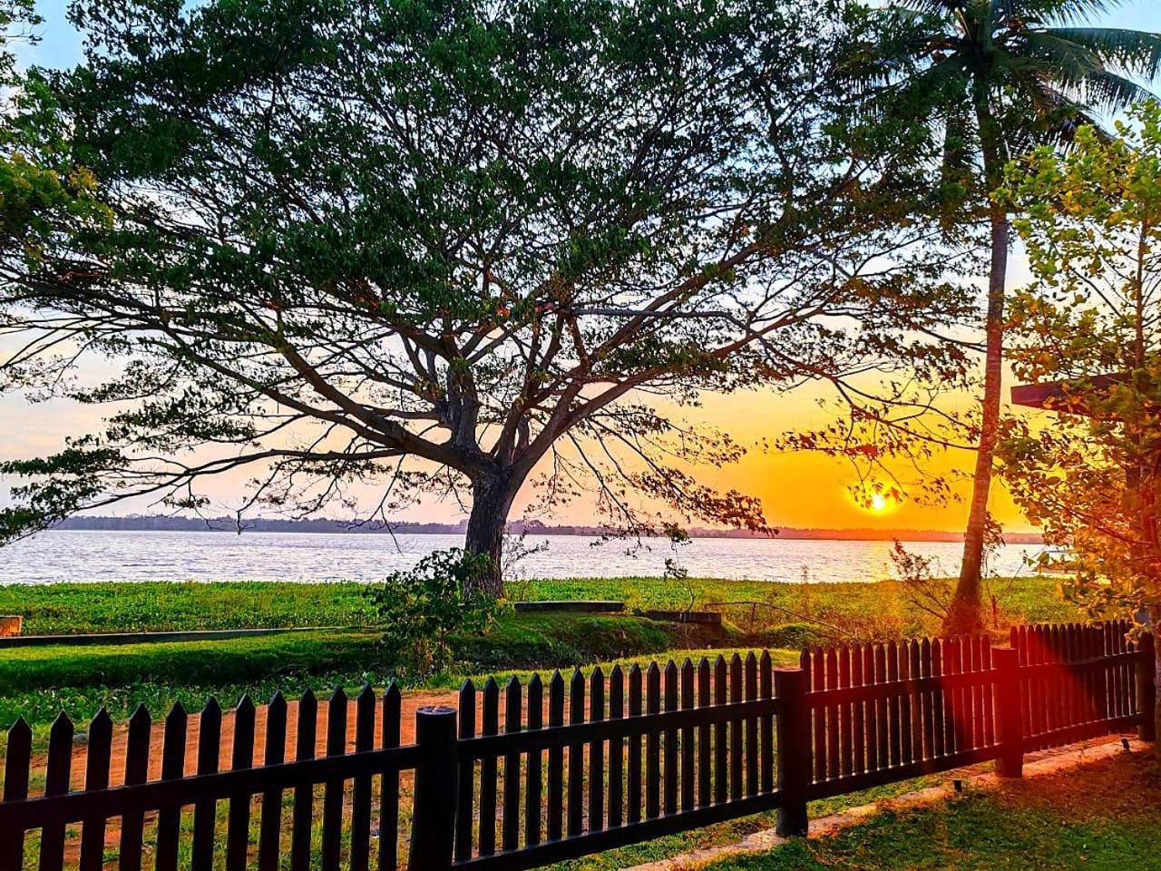 Art Yala Boutique Resort تيساماهاراما المظهر الخارجي الصورة